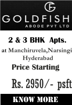 Gold Fish Abode Vyoma